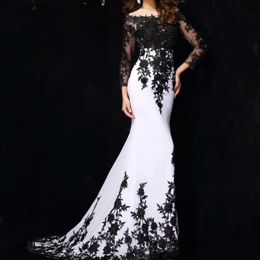 NEW! Lace & Chiffon Long Sleeved Dress